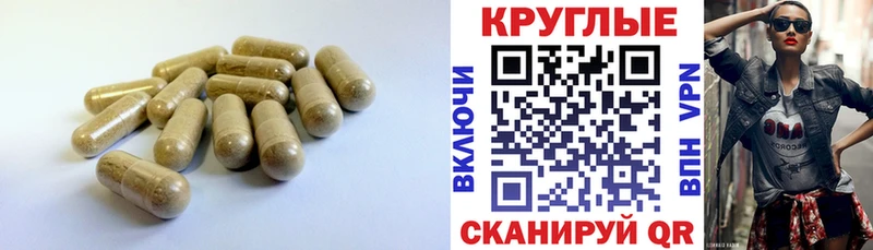 ЭКСТАЗИ 99%  закладки  Микунь 