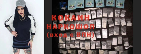 шишки Богданович