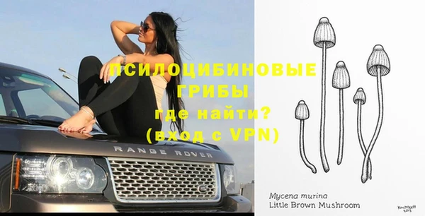 бошки Бугульма