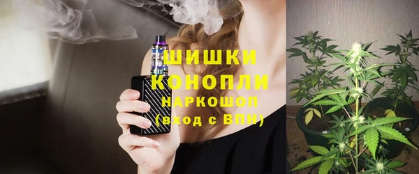 шишки Богданович