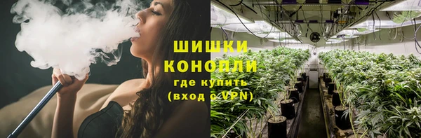 mdma Богородицк