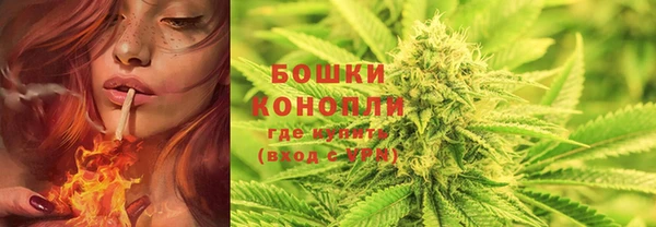 скорость Бородино