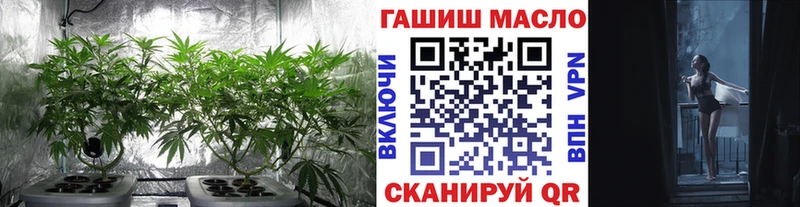 ссылка на мегу как зайти  Микунь  Дистиллят ТГК THC oil 
