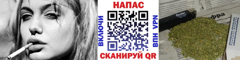 blacksprut Микунь Бошки Шишки сатива